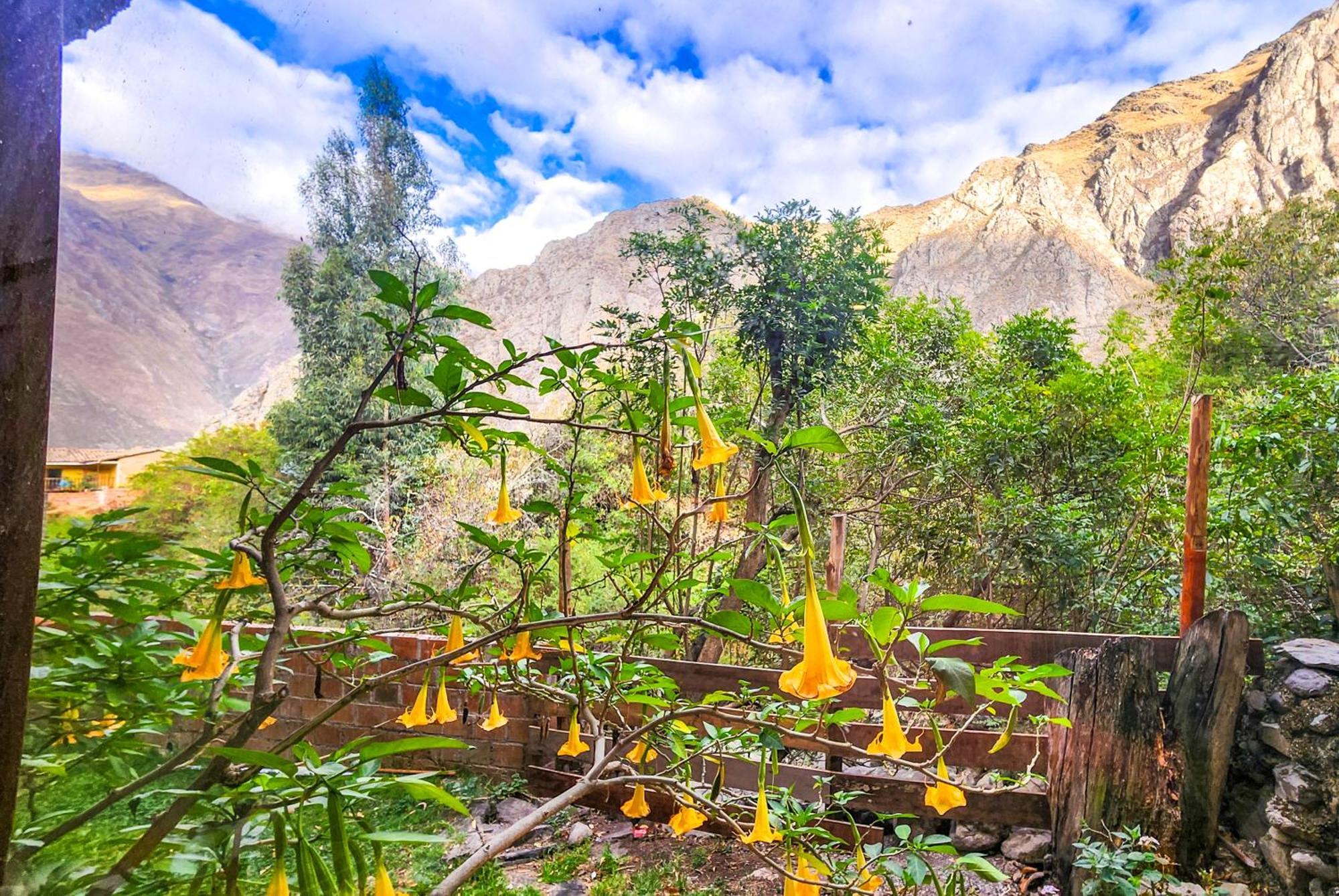 Peru Quechua'S Lodge Ollantaytambo Exteriör bild